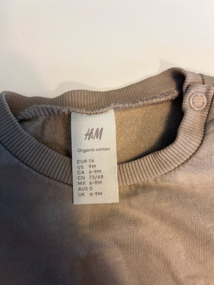 Jogging Anzug H&M Gr. 74 beige in Meinersen