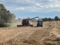 Case Axial Flow Teile / Fahrer / Erfahrungsaustausch Schleswig-Holstein - Ostenfeld (Rendsburg) Vorschau