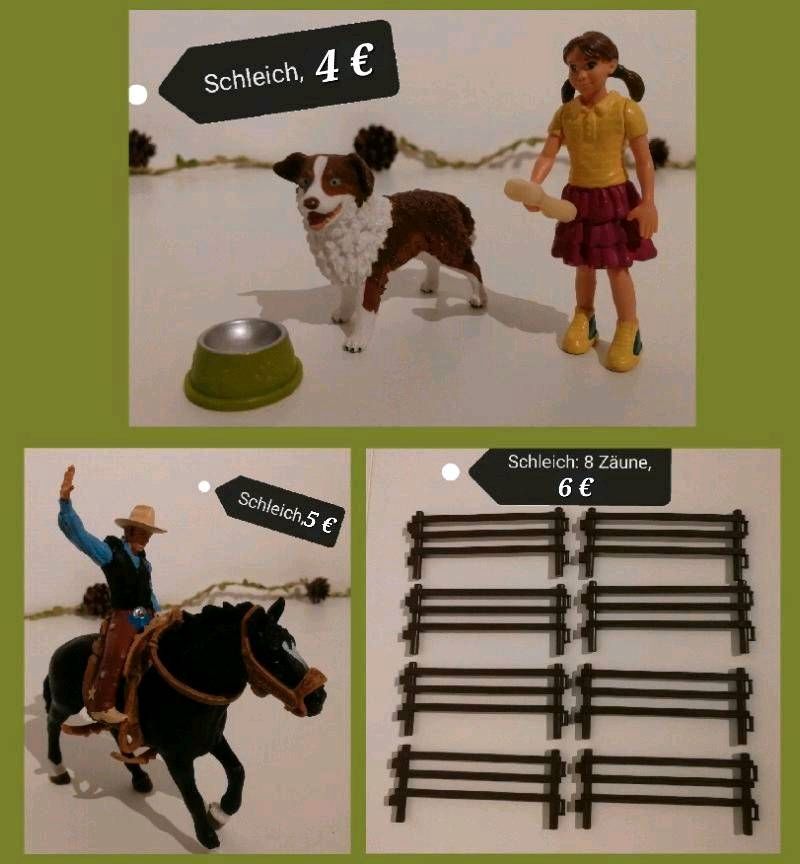 Schleich/Bayala:Fee,Elfe,Hund,Pferd,Zäune,Prinz,Prinzessin in Goch