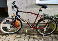 Wheeler Blaster MTB Herren Baden-Württemberg - Herrenberg Vorschau