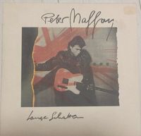 Peter Maffay LP VINYL SCHALLPLATTE SAMMLUNG Baden-Württemberg - Heilbronn Vorschau