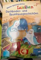 2 Kinderbücher Leselöwen Niedersachsen - Jesteburg Vorschau