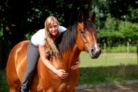 Großartige Quarter- Horse Stute, 8 Jahre, guter Ausbildungsstand Niedersachsen - Westoverledingen Vorschau