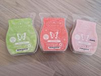 Scentsy Bar Paket Schleswig-Holstein - Satrup Vorschau