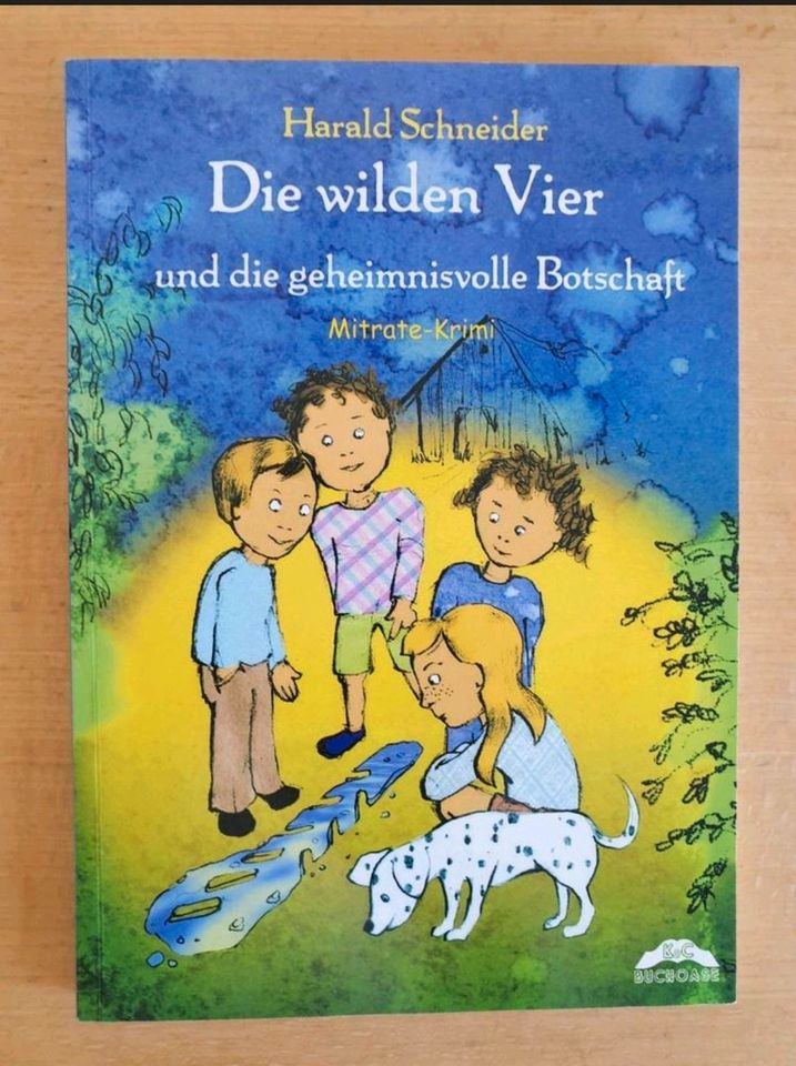 Die wilden Vier Kinderbuch Jugendbuch Buch in Murnau am Staffelsee