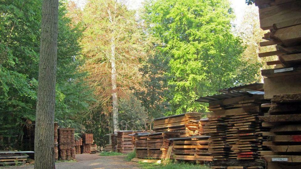 Büroausbau-Projekt & Holzveredelung in Krusenfelde