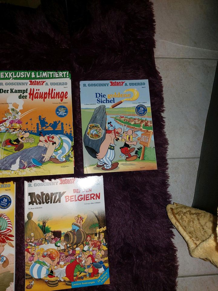 Asterix und Obelix Comics Sonderausgaben in Wegberg