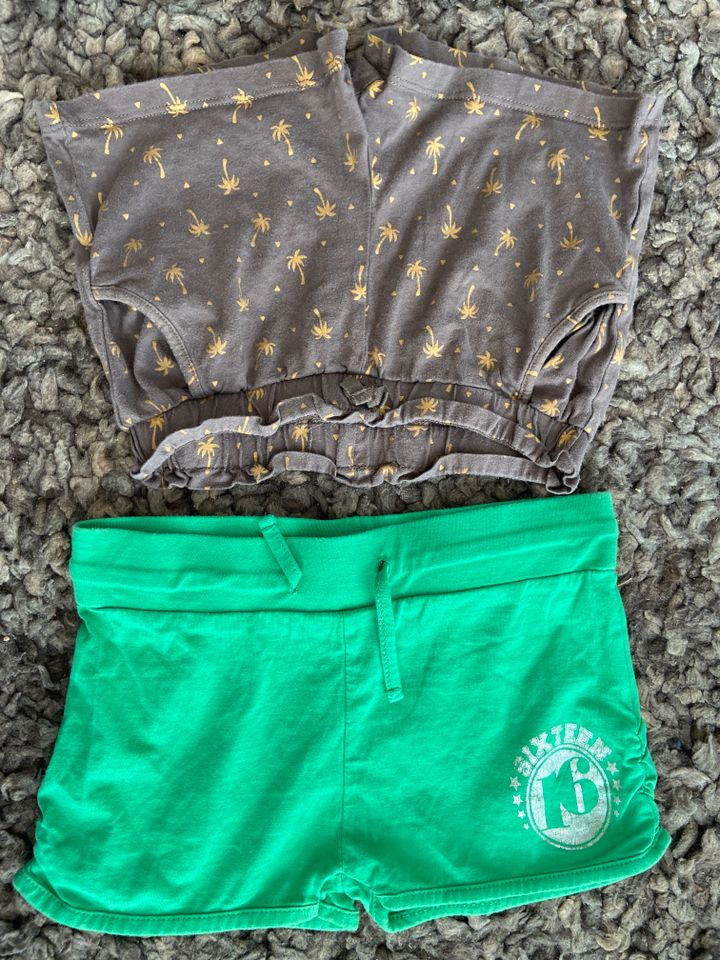 2 Shorts Palmen Sommer Urlaub See Zara H&M grün in Oranienburg