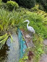 Graureier Deko für Teich oder Garten Dortmund - Aplerbeck Vorschau