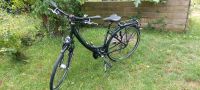 Pegasus Solero SL Wave- Trekking Damenfahrrad Bayern - Kronach Vorschau