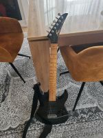 SL Aria Pro II E Gitarre Niedersachsen - Lehre Vorschau