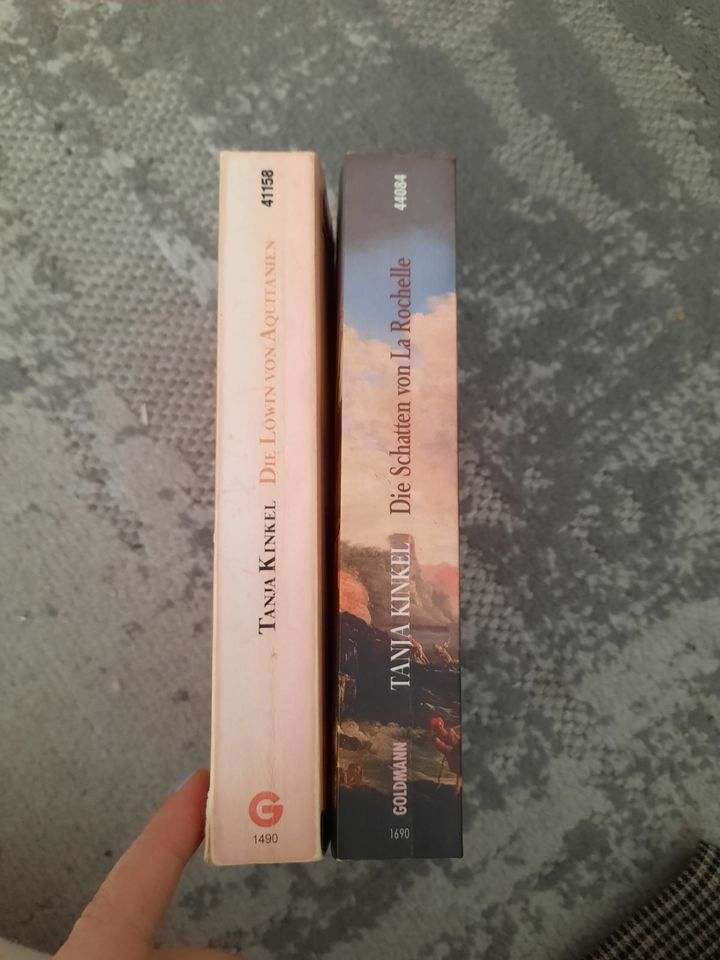 Zwei Romane von Tanja Kinkel in Solms