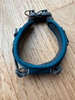 Dog Copenhagen Urban Explorer Halsband, XS, Ocean Blue Hessen - Idstein Vorschau