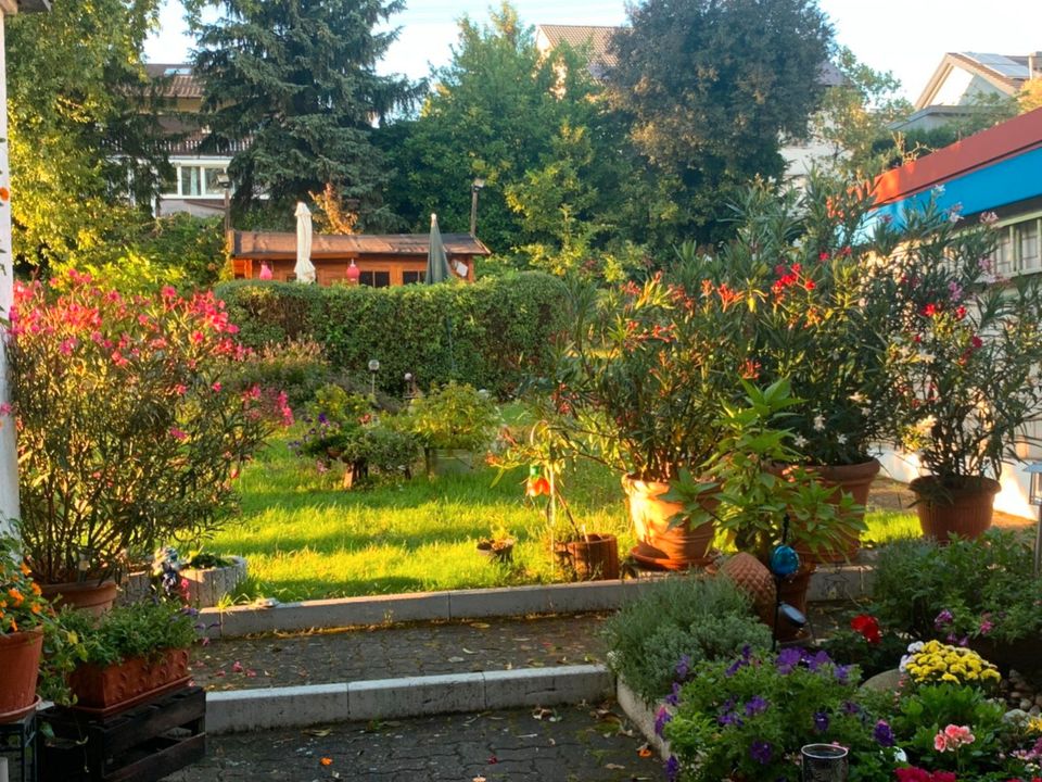 berufstät. Mitbewohnerin für Haus mit großem Garten in Wiesloch in Wiesloch