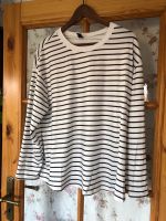 Tshirt Shirt Pullover Pulli Brandenburg - Trebbin Vorschau