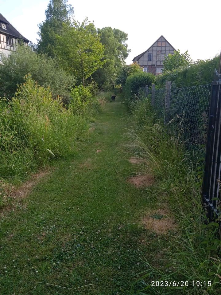 Schrebergarten in Frankenberg (Eder)