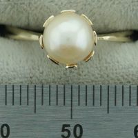 Ring Gold 585 mit Perle, Perlring Rheinland-Pfalz - Friedelsheim Vorschau