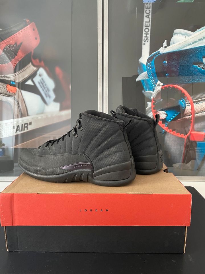 Nike air Jordan 12 Retro Winterrized in Görlitz