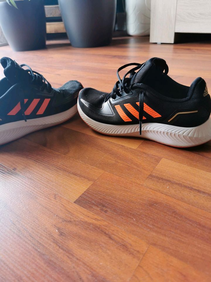 Adidas sneaker in Sollstedt (Wipper)