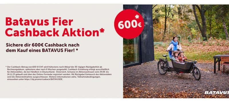 Bakfiets E-Lastenrad Batavus Fier E-Bakfiets sofort Lieferbar in Goch