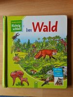 Buch Im Wald (Kinderwissen Richtig schlau!) Hannover - Ahlem-Badenstedt-Davenstedt Vorschau