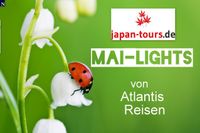 MAI-LIGHT: 7 x  Japan Traumreisen 2024 ab 3599 Euro ! Niedersachsen - Wunstorf Vorschau