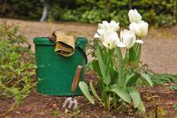 Hilfe in Haus und Garten Hessen - Bischofsheim Vorschau