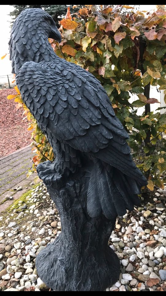 Adler 100kg 106cm Steinadler Seeadler Greifvogel Eagle Harley SGE in Düsseldorf