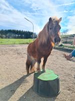 Pflegebeteiligung Kr. München - Hohenbrunn Vorschau