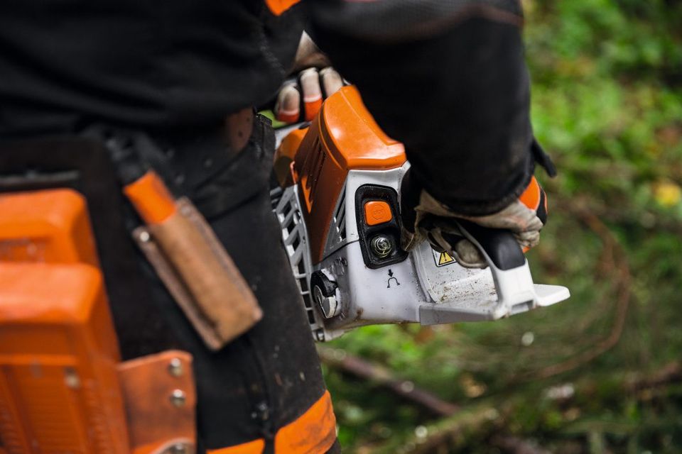 Kettensäge STIHL MS 500i - 63 cm Schienenlänge - VERFÜGBAR in Merseburg