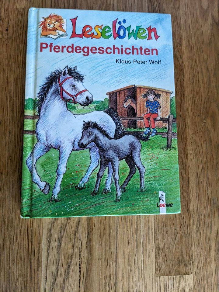 Leselöwen Pferdegeschichten in Dresden