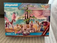 Playmobil Magic set 71002 Rheinland-Pfalz - Ludwigshafen Vorschau