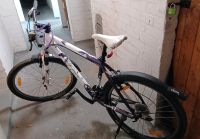 Mountainbike Scott contessa 24 lila Blumen Fahrrad Wandsbek - Hamburg Hummelsbüttel  Vorschau