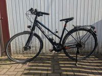 Diamant Elan Supreme - Fahrrad 28 Zoll / 50 cm Dithmarschen - Friedrichskoog Vorschau