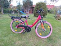 Kinderfahrrad Brandenburg - Ludwigsfelde Vorschau