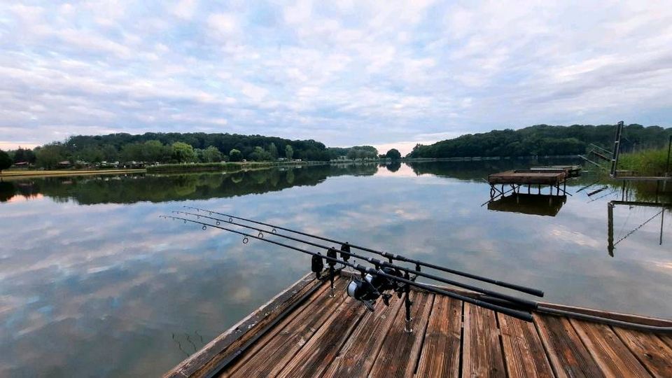 Steg, Ponton am Étang de Marais Remering, karpfen,carp,angeln in Gersheim