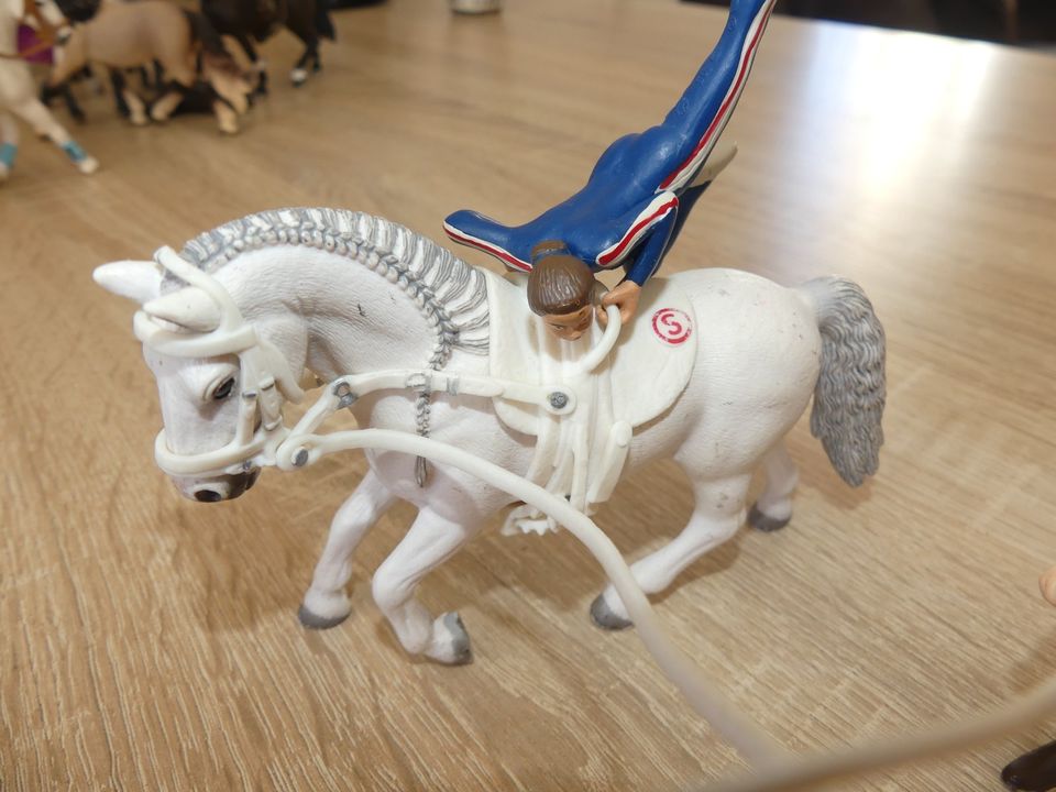 Schleich Voltigierset in Hermsdorf