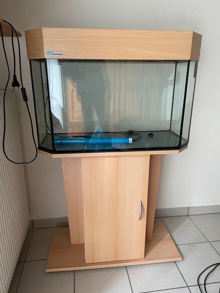 Aquarium mit Unterschrank in Bischoffen