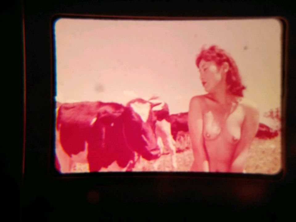 Vintage Akt Erotik Nude Dias auf der Wiese M. Samejima in Schöneiche bei Berlin