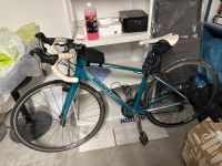 Giant Avail Rennrad Fahrrad Damenrad Nordrhein-Westfalen - Recklinghausen Vorschau