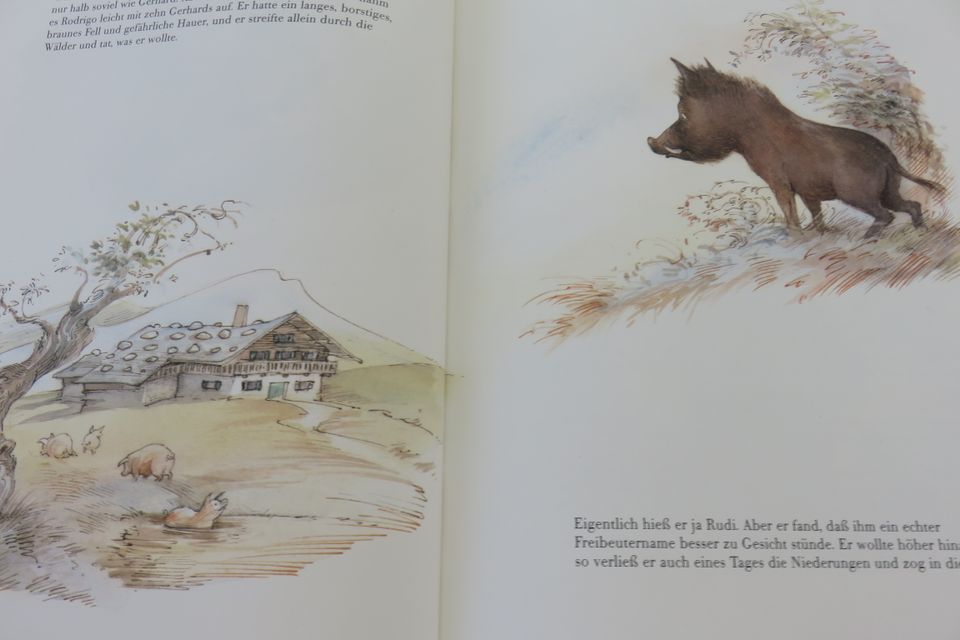 Kinder Buch die Prinzessin vom Pfandlhof in Johanniskirchen