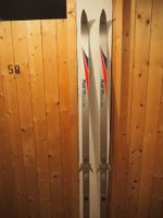 Langlaufskier Hofbauer Plus 111 easy step für Schnabelschuh Nürnberg (Mittelfr) - Mitte Vorschau