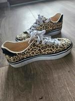 Sneaker Graceland Gr. 38 Bayern - Ebensfeld Vorschau
