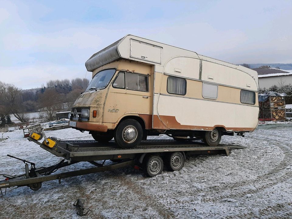 Hanomag Henschel F 35 Mercedes L 307 Wohnmobil in Scheden