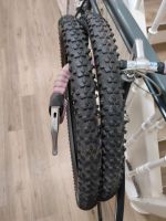 Schwalbe Reifen smart Sam MTB 26 Zoll Mountainbike 2*25 Baden-Württemberg - Freiburg im Breisgau Vorschau