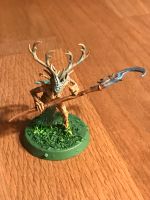 Warhammer/ Age of Sigmar Waldelfen - Branchwych Niedersachsen - Herzberg am Harz Vorschau