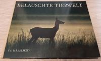 Belauschte Tierwelt von F.F.Hazelhoff Rheinland-Pfalz - Kleinich Vorschau