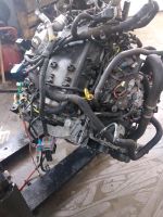 MOTOR RENAUT TRAFIC OPEL VIVARO M9RV710 2,0d  15tkm komplett Berlin - Spandau Vorschau