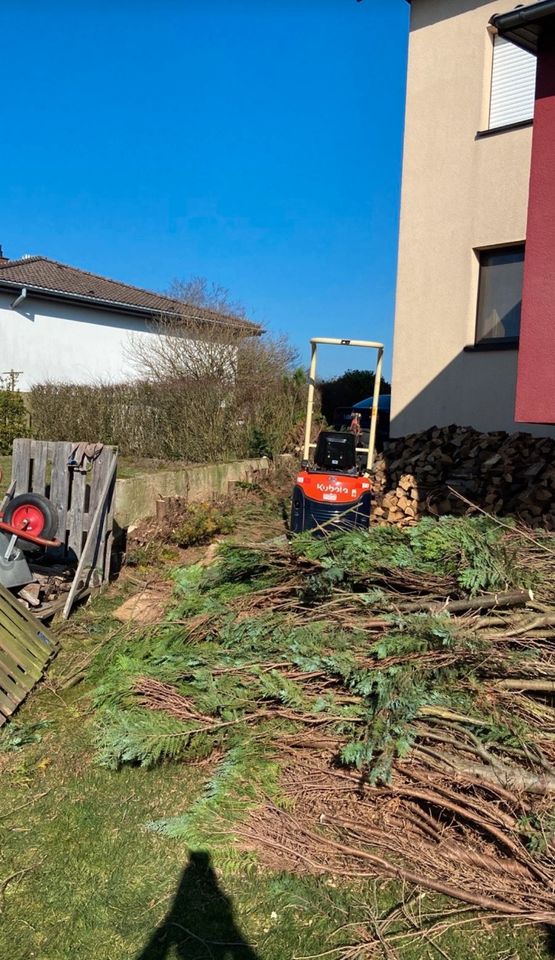 MT Garten-Landschaftspflege,Hausmeisterservice,Gartenarbeit in Binsfeld