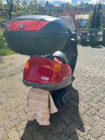 Honda Phanteon 125ccm Nordrhein-Westfalen - Morsbach Vorschau